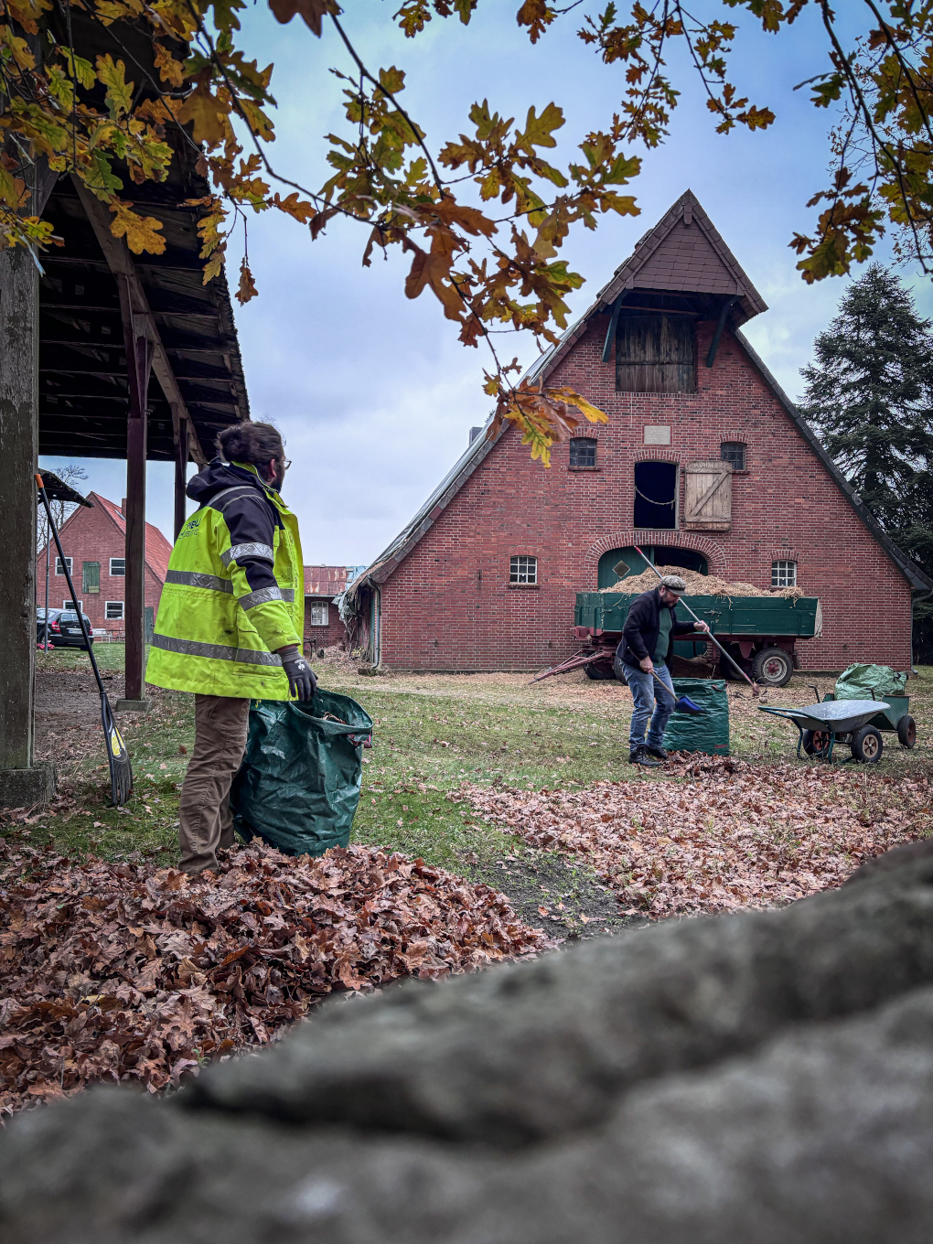 Zwei Personen haken Laub