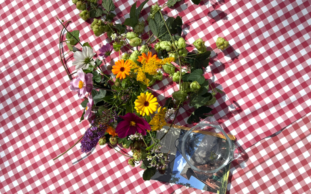 ERSTES HOFCAFÉ – SO, 06.09.26